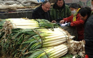 農產品“綠色通道”廣受歡迎，助力鄉村振興與民生保障