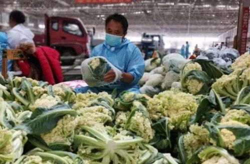 新疆九鼎市場(chǎng) 日銷5500噸果蔬與鮮活水產(chǎn)品，托穩(wěn)西北“菜籃子”