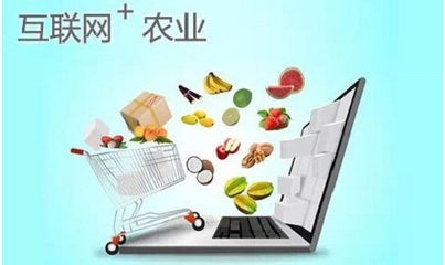 農(nóng)產(chǎn)品上行 概念解析與常見問題全攻略