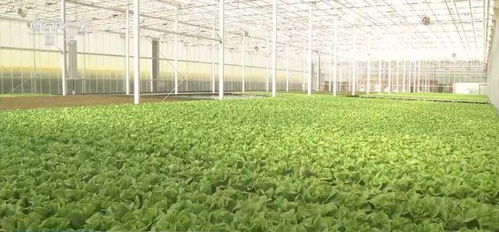 科技賦能，鮮活水產(chǎn)品提質(zhì)增效 新裝備引領(lǐng)現(xiàn)代農(nóng)業(yè)新篇章